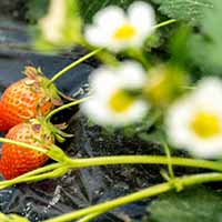 image07