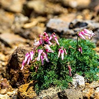 image32