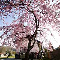 image04